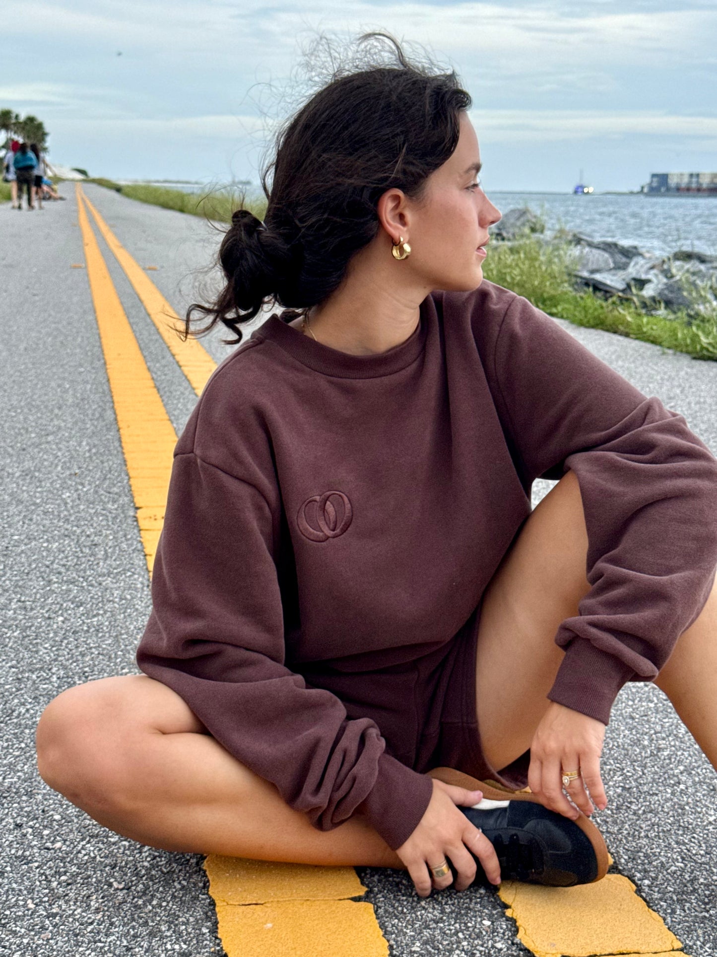 Unisex Crewneck - Brownie